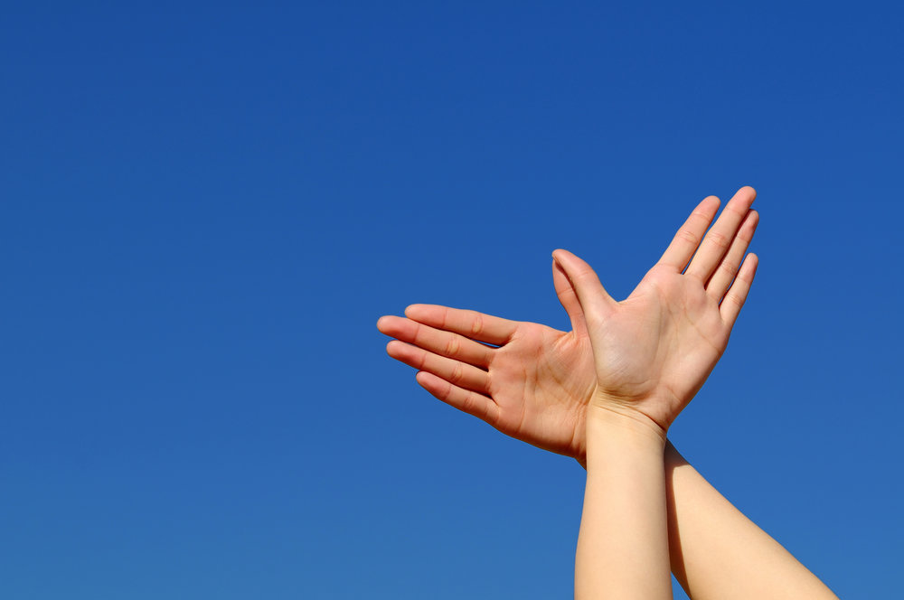  A Bird in the Hand… Using HR Technology to Find Hidden Talent     Download eBook   Request Demo  